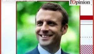 Européennes: en se montrant sur une affiche de campagne, Emmanuel Macron agace ses opposants