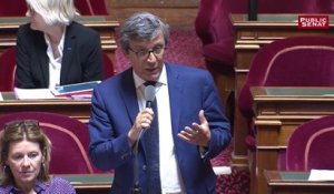 David Assouline, sénateur PS de Paris, prend la défense des jardins d’enfants