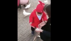 Cette fillette aime bien nourrir les oiseaux. Mais eux n'aiment pas trop