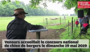 VIDEO. Vienne : les chiens de bergers concourent pour le prix national