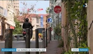 Montpellier : des plantes sur les trottoirs
