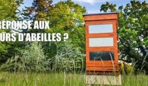 Protéger les abeilles contre un parasite mortel