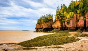 Le Canada: tout savoir sur le Nouveau-Brunswick