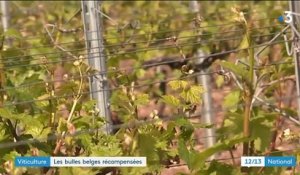 Viticulture : le mousseux belge récompensé