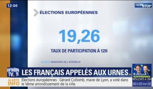 Élections européennes: la participation s'élève à 19,26% à midi