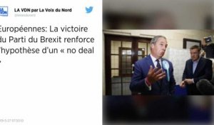 Européennes. La victoire du Parti du Brexit renforce l’hypothèse d’un « no deal »