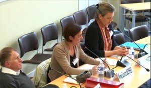 Commission d’enquête sur l’inclusion des élèves handicapés : Auditions diverses - Mardi 28 mai 2019