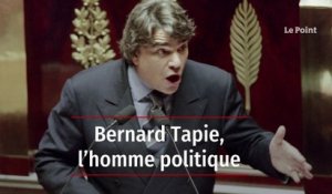 Bernard Tapie, l'homme politique