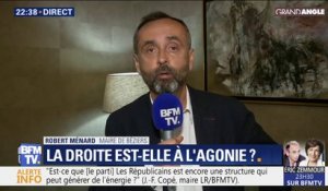 Pour Robert Ménard, "il faut un système d'alliance" entre Les Républicains et le Rassemblement national