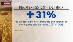 L’agriculture bio en plein essor en France