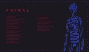 AURORA - Animal (Audio)