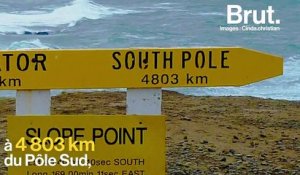 Pourquoi les arbres de Slope Point poussent-ils à l'horizontal ?