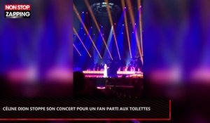 Céline Dion interrompt son concert pour un spectateur parti aux toilettes (Vidéo)