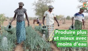 Burkina Faso: Produire plus et mieux avec moins d’eau
