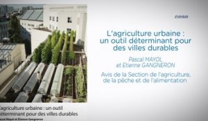 L'agriculture urbaine: un outil déterminant pour des villes durables - cese
