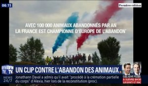 Le nouveau clip de 30 millions d'amis est sorti et sachez que la France est championne d'Europe de l'abandon d'animaux
