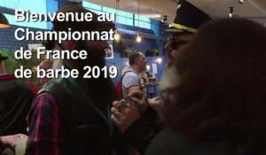 A chacun son style au Championnat de France de barbe 2019