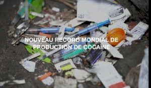 Nouveau record mondial de production de cocaïne