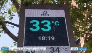 Canicule : les températures excessives vont-elles devenir la norme ?