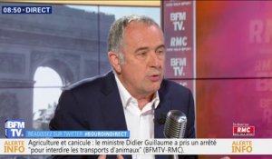 Didier Guillaume: "Si nous arrêtions tous les pesticides aujourd'hui, ce serait une catastrophe pour l'agriculture"