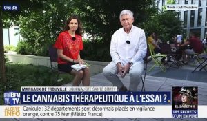 Le cannabis thérapeutique à l'essai ?