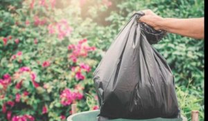 Journée mondiale sans sac plastique : des chiffres qui donnent le tournis