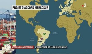 Accord Mercosur : les agriculteurs français en colère