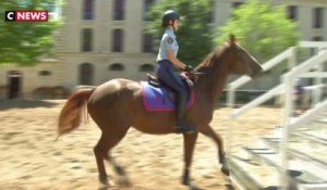 Les chevaux stars de la Garde républicaine