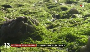 Finistère : les algues vertes à l'origine du décès d'un jeune ostréiculteur ?