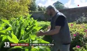 Abbaye de Daoulas : un jardin de plantes médicinales aux mille vertus