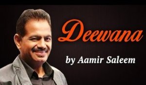 Hit Pop Songs | Ajnabi Vol - 2 |  Deewana | Aamir Saleem Songs