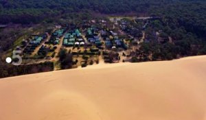 [BA] Sale temps pour la planète – Landes de Gascogne - 17/07/2019