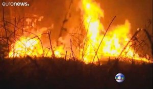 Amazonie : sept États brésiliens appellent l'armée pour lutter contre les feux