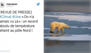« On n’a jamais vu ça » : un record absolu de température atteint au pôle Nord