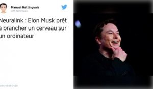 Elon Musk rêve d’un cerveau connecté à la machine