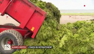 Bretagne : une unique usine pour se débarrasser des algues vertes