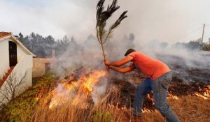 Incendies au Portugal : les pompiers craignent une reprise