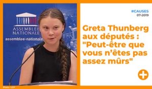 Greta Thunberg aux députés : "Peut-être que vous n’êtes pas assez mûrs"