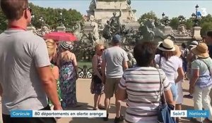 Chaleur, pollution, urgences... La France à l'heure de la canicule