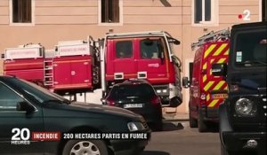 Gard : un incendie a déjà emporté 200 hectares