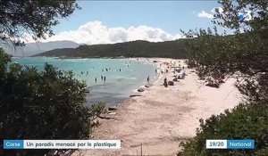 Corse : l'île menacée par les déchets de plastique