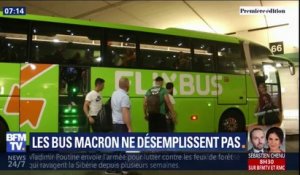 Avec une hausse de 30% des demandes cet été, voyager en bus continue séduire