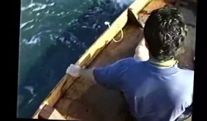 Une baleine menace de renverser un bateau de pecheurs