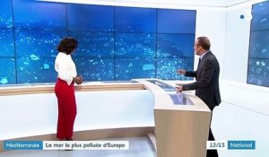 Environnement : la Méditerranée est la mer la plus polluée d'Europe