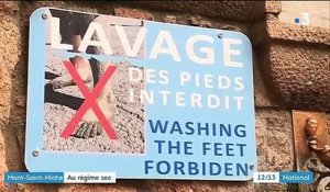 Manche : pour le maire du Mont-Saint-Michel, les touristes consomment trop d'eau