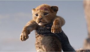 Le Roi Lion met fin au règne de Avengers : Endgame et devient le plus grand succès de l'année en France