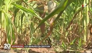 Sécheresse : des agriculteurs réclament de nouveaux barrages pour retenir l'eau