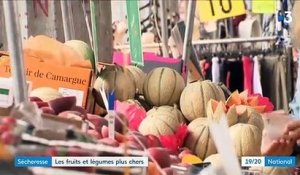 Les prix des fruits et des légumes flambent cet été sur les étals des marchés - Une hausse de 6,7 % selon l'INSEE - VIDEO