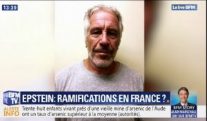Affaire Epstein: l'association "Innocence en danger" avait déjà demandé une enquête préliminaire en France