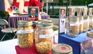 La foire agricole de l'Iowa, incontournable étape dans la course à la Maison Blanche